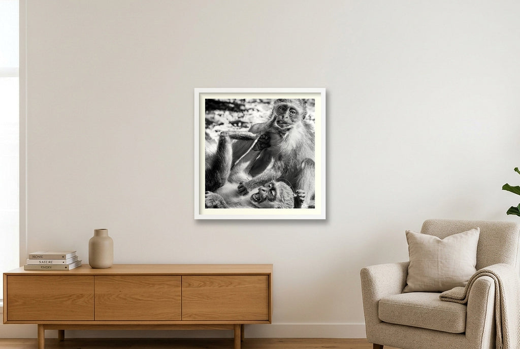 The Dust Up — 50×50cm, 20×20" White Frame