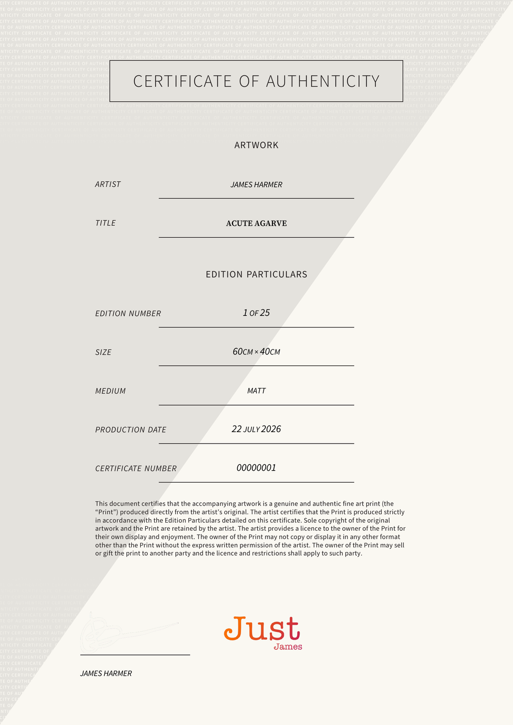 Acute Agarve — Certificate of Authenticity