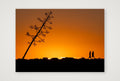 Acute Agarve — A4 (30×21cm, 12×8") Print only