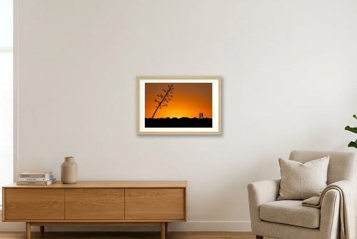 Acute Agarve — 45×30cm, 18×12" Oak Frame