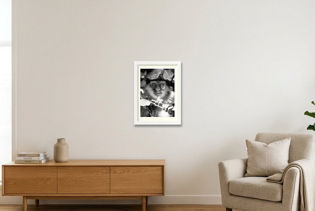 Willem — A4 (21×30cm, 8×12") White Frame