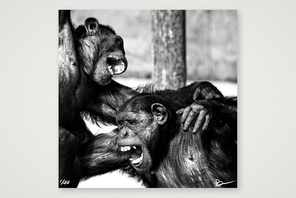 The Laughing Policemen — 50×50cm, 20×20" Print only