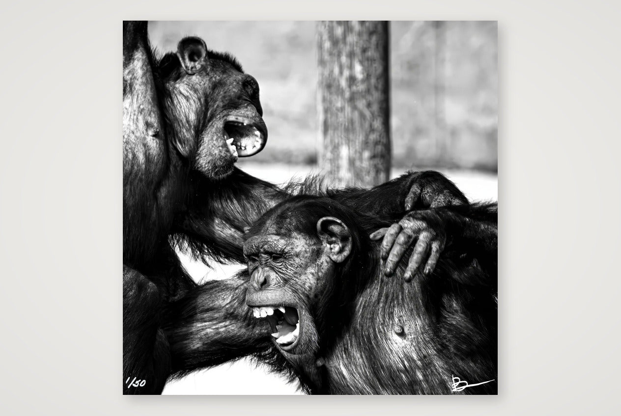 The Laughing Policemen — 50×50cm, 20×20" Print only