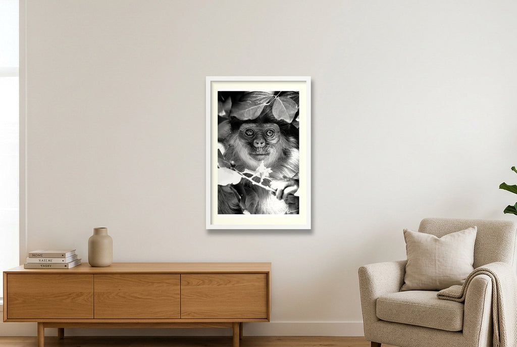 Willem — 40×60cm, 16×24" White Frame