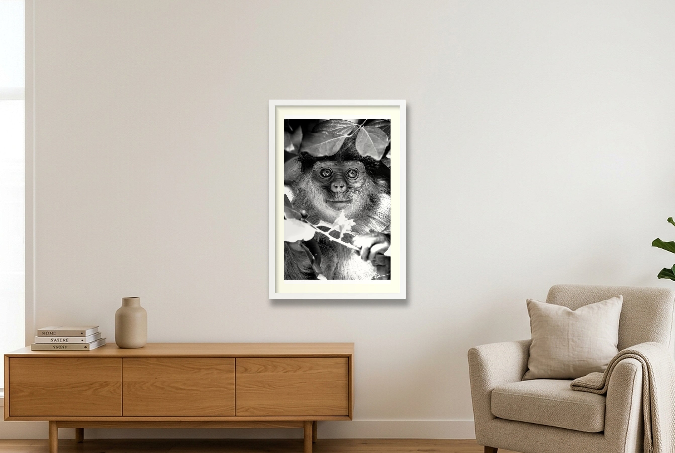 Willem — 40×60cm, 16×24" White Frame