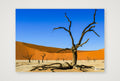 There's A Dead Vlei In My Soup — A4 (30×21cm, 12×8") Print only