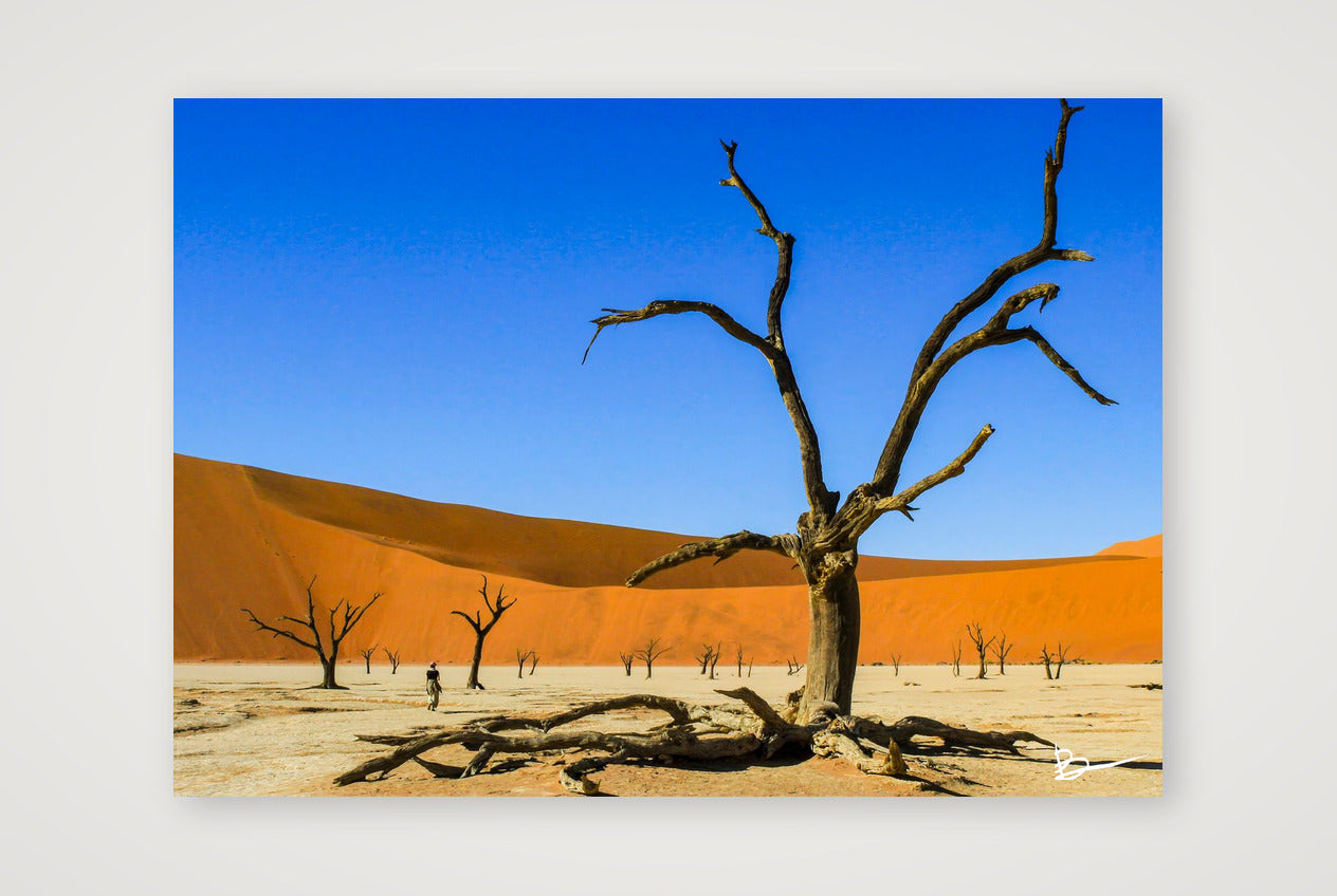 There's A Dead Vlei In My Soup — A4 (30×21cm, 12×8") Print only