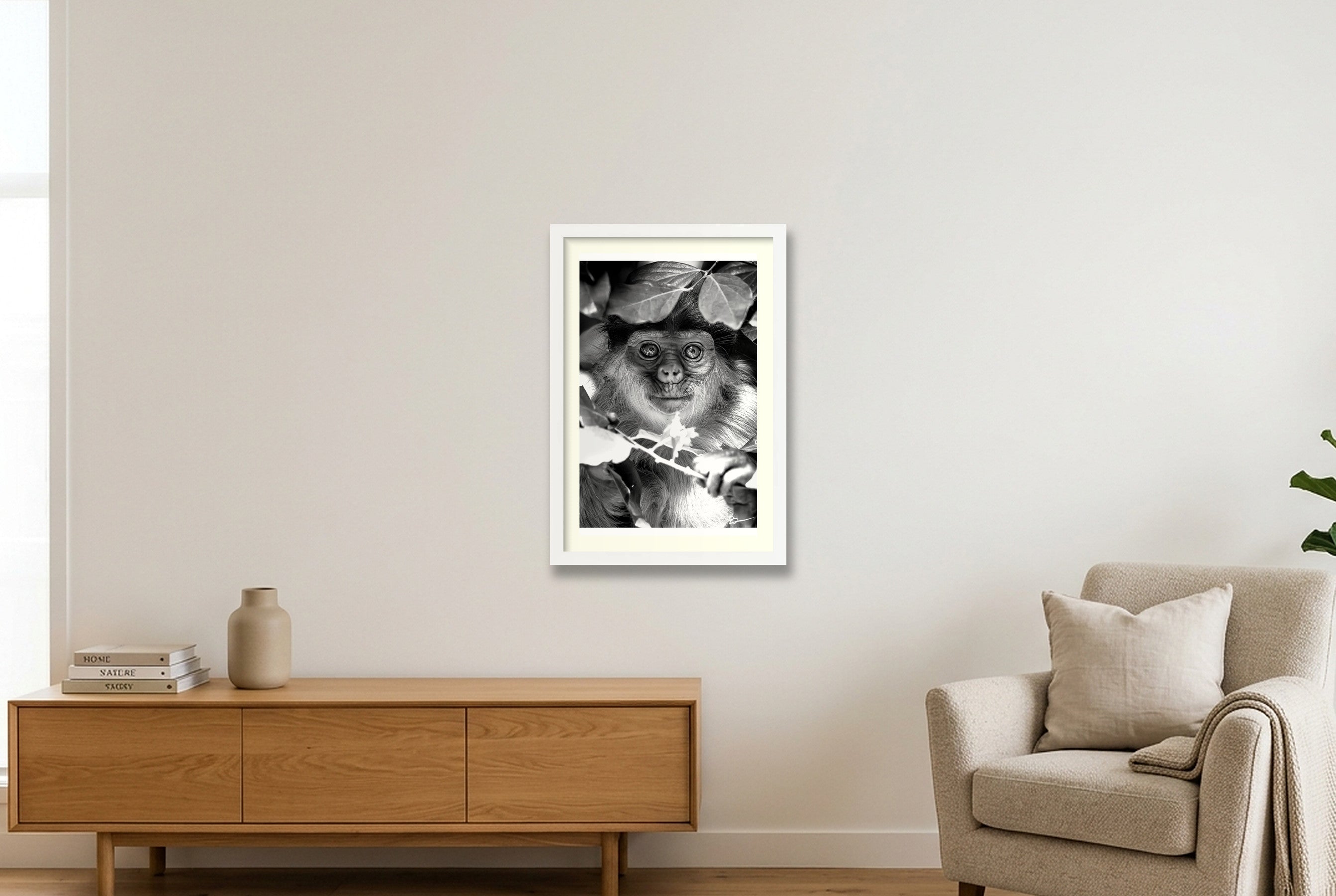 Willem — 30×45cm, 12×18" White Frame
