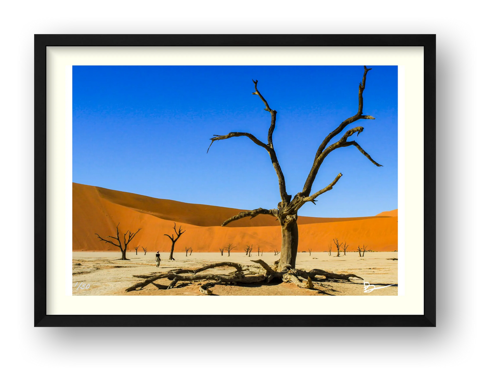There's A Dead Vlei In My Soup — framed
