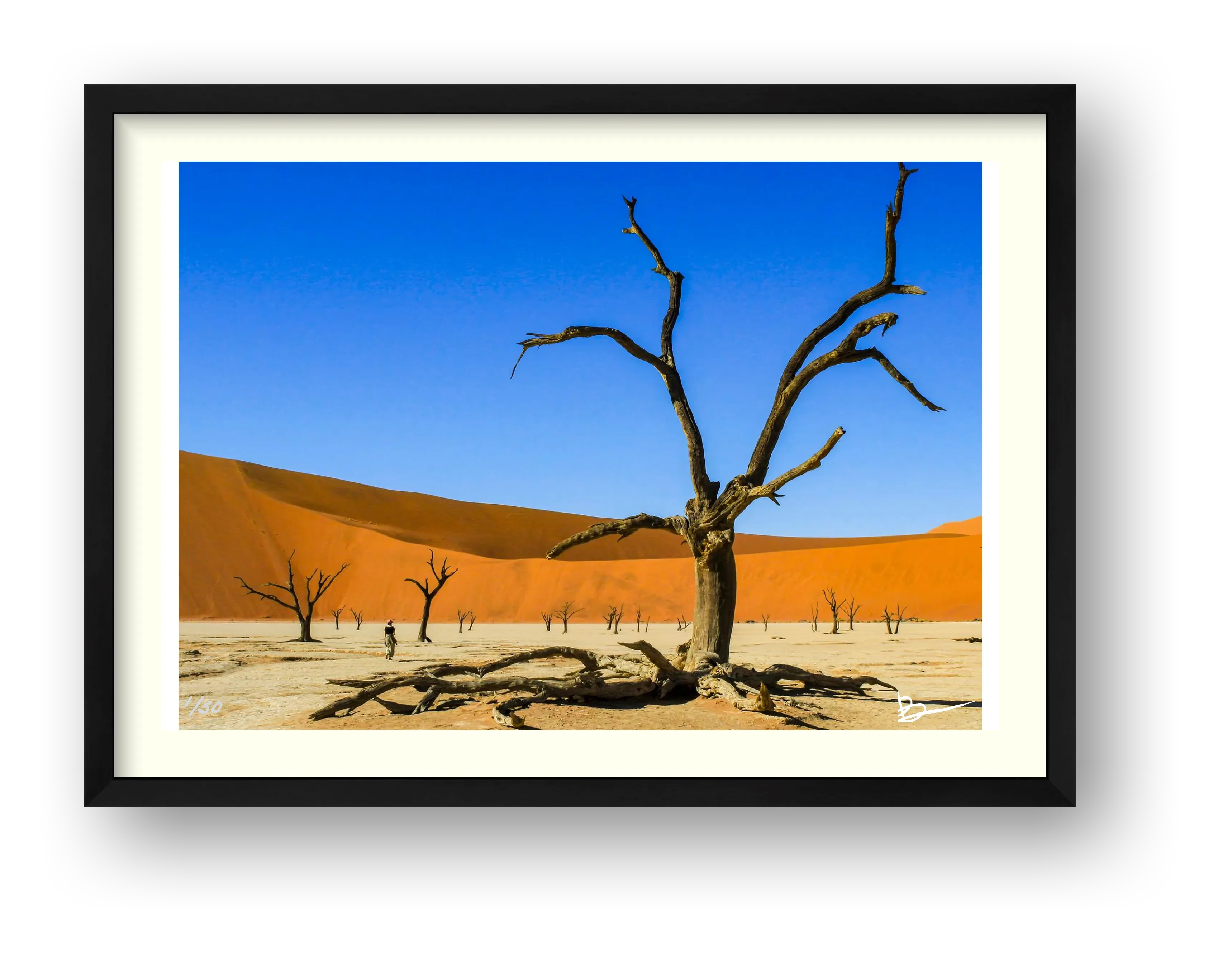 There's A Dead Vlei In My Soup — framed