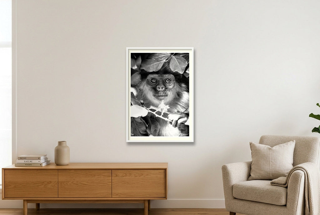 Willem — 70×100cm, 28×39" White Frame