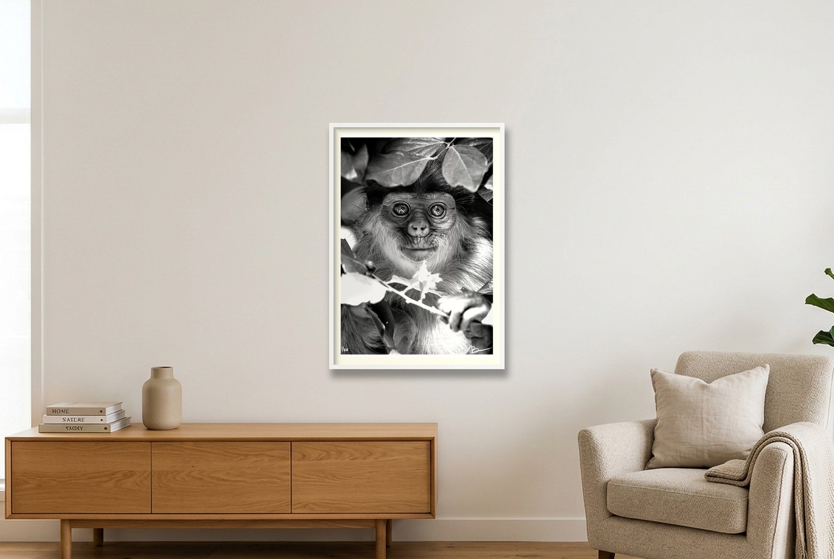 Willem — 70×100cm, 28×39" White Frame