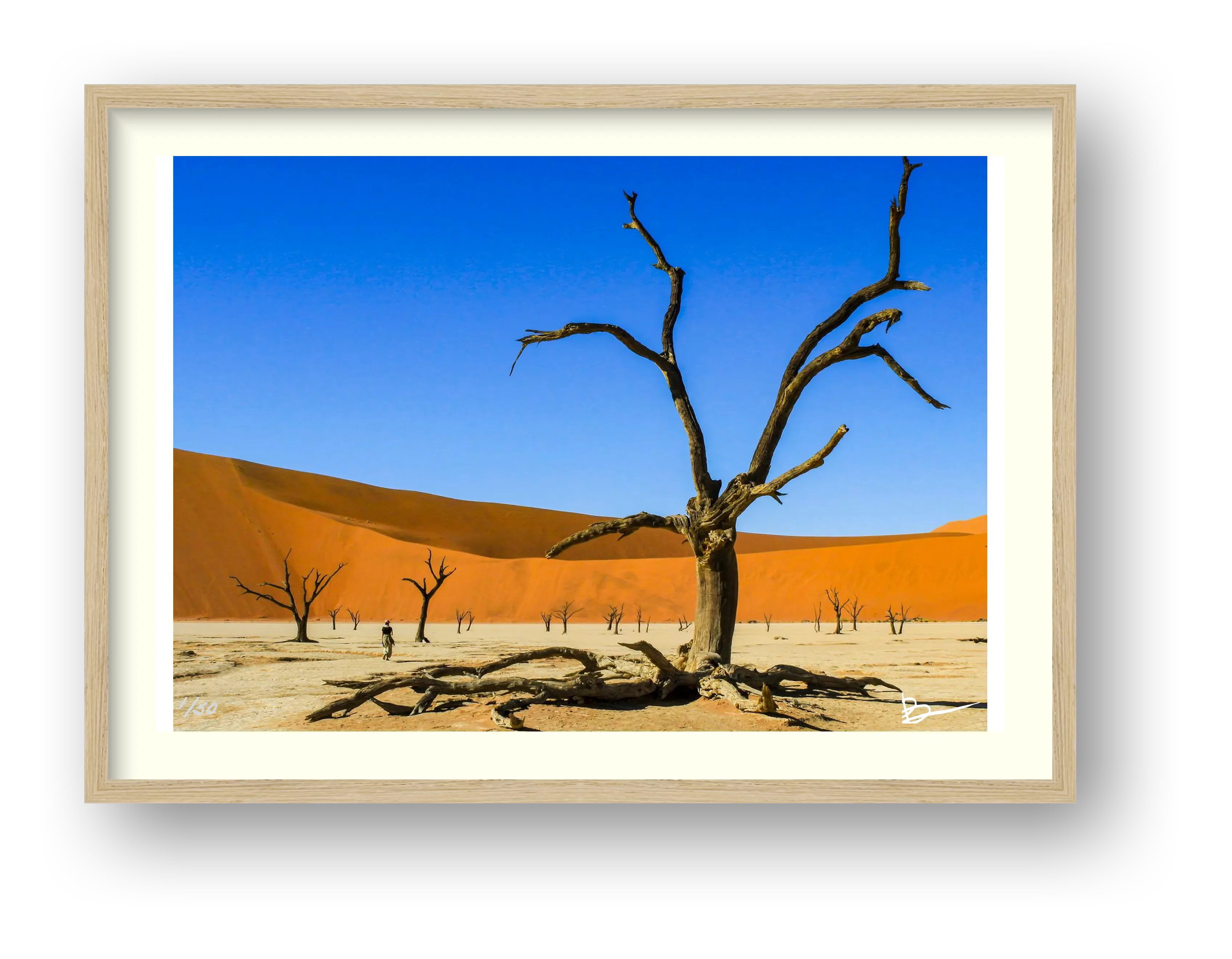 There's A Dead Vlei In My Soup — framed